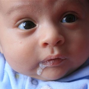 Tasiemiec karłowaty