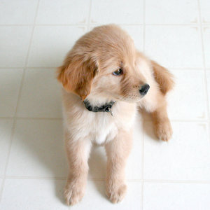 Bez niebezpiecznych przedmiotów