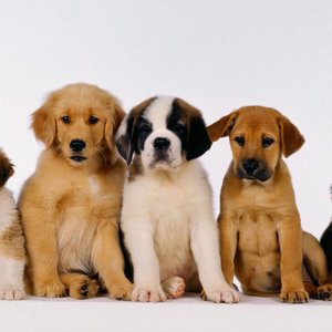 Spotkanie z domownikami