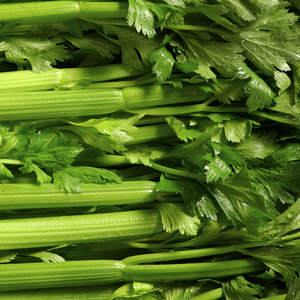 Seler naciowy do pomocy