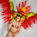 Jak przygotować atrakcyjny strój karnawałowy?