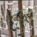 Jak zrobić oryginalną ramkę z suszonych kwiatów?