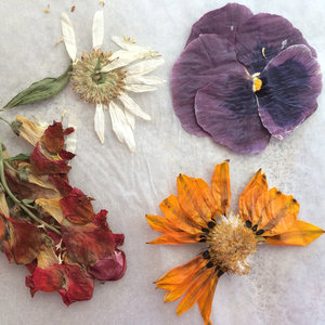 Jakich przedmiotów potrzeba?