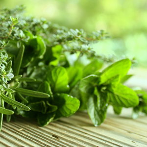 Łagodzące zioła
