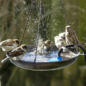 Jakich elementów potrzeba?