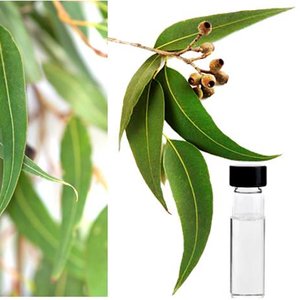 Co trzeba przygotować?