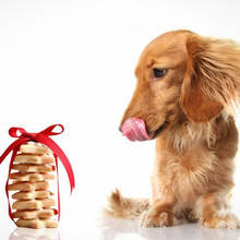 Czy przekąski dla psów są zdrowe?