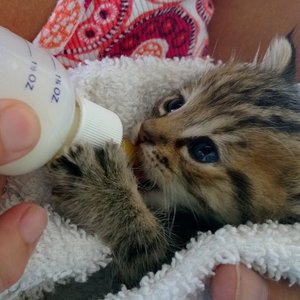 Odpowiednia mieszanka