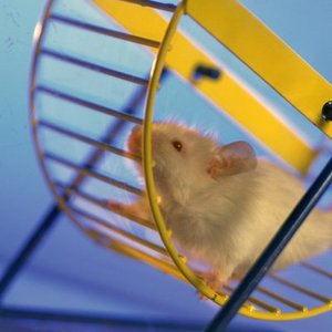 Czego będziesz potrzebować?