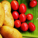 Ziemniaki zapiekane z pomidorami – jak je przyrządzić?