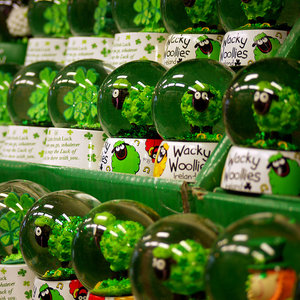 Zielona koniczyna na szczęście