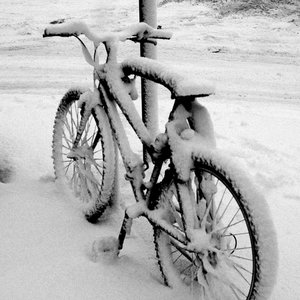 Rękawiczki na rower