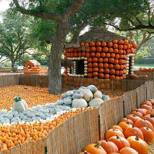 Przydatne funkcje aparatu