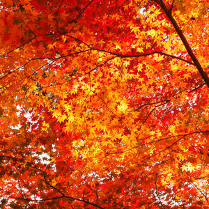 Dobry aparat do zdjęć