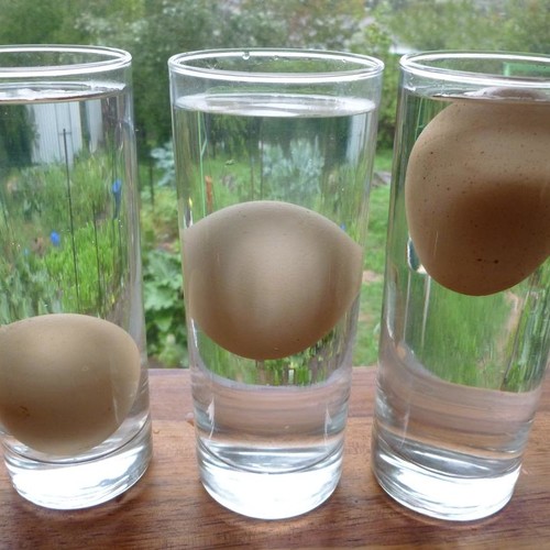 Sprawdzanie świeżości jaj za pomocą wody