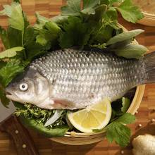 Jak dobrze przechowywać ryby?