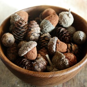 Jakie rzeczy są niezbędne?