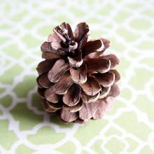 Jak zrobić ciekawy pierścionek z szyszki?