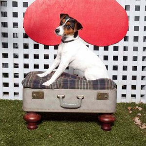 Legowisko dla psa – krok piąty