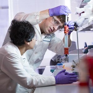Jak skutecznie uniknąć choroby bostońskiej?