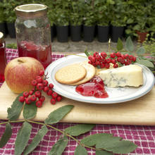 Jak przygotować konfitury z jarzębiny?