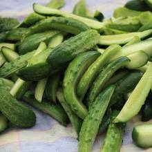 Jak przygotować dobre korniszony?