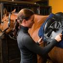 Siodłanie konia – co trzeba o tym wiedzieć?