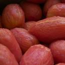 Podstawowe zasady parzenia i drylowania pomidorów