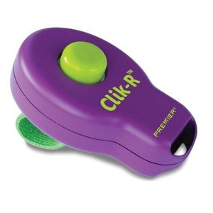 Co to jest kliker i jak działa?