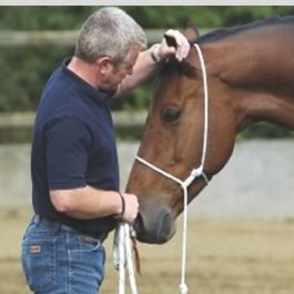 Kiełznanie konia – krok pierwszy