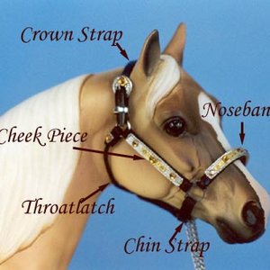 Kiełznanie konia – krok drugi