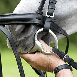 Kiełznanie konia – krok trzeci