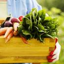 Po czym poznać żywność ekologiczną?