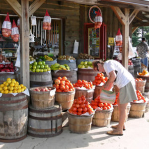 Gdzie można kupić żywność ekologiczną?