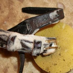 Czyszczenie i konserwacja ogłowia – krok trzeci