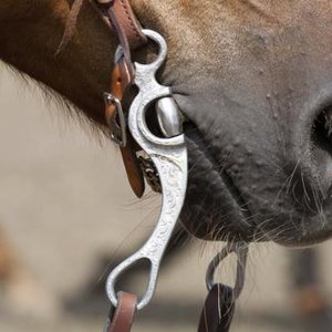 Czyszczenie i konserwacja ogłowia – krok drugi