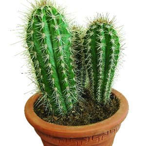 Co trzeba przygotować?