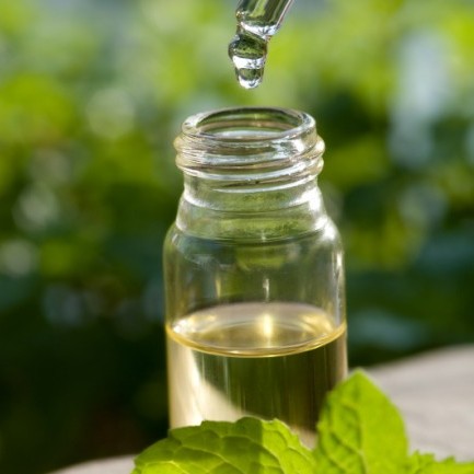 Sposób leczenia świerzbu olejkiem z drzewa herbacianego