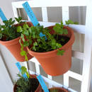 Oryginalna doniczka z klamerek – jak ją zrobić?