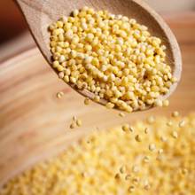 Poprawny sposób gotowania kaszy jaglanej