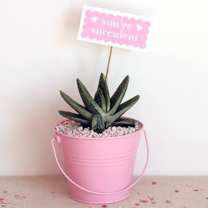 Jakich rzeczy potrzeba?