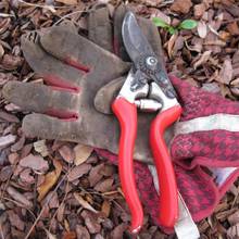 Jak zrobić wiosenne porządki w ogrodzie?