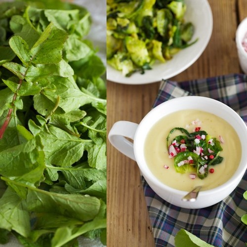 Doskonała zupa z liści rzodkiewki – jak ją przygotować?