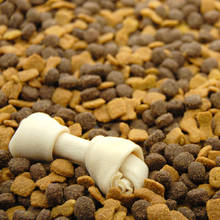 Jakich produktów nie może jadać pies?