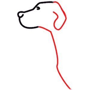 Rysowanie psa – krok drugi