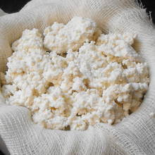 Jak zrobić domowy ser ricotta?