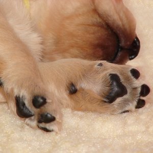 Sprawdzenie opatrunku