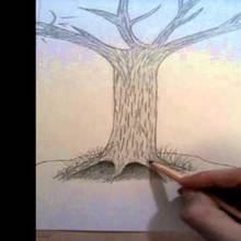 Rysowanie drzewa – krótki poradnik