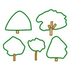 Jak uchwycić kształt drzewa?