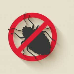 Wymrażanie szkodników